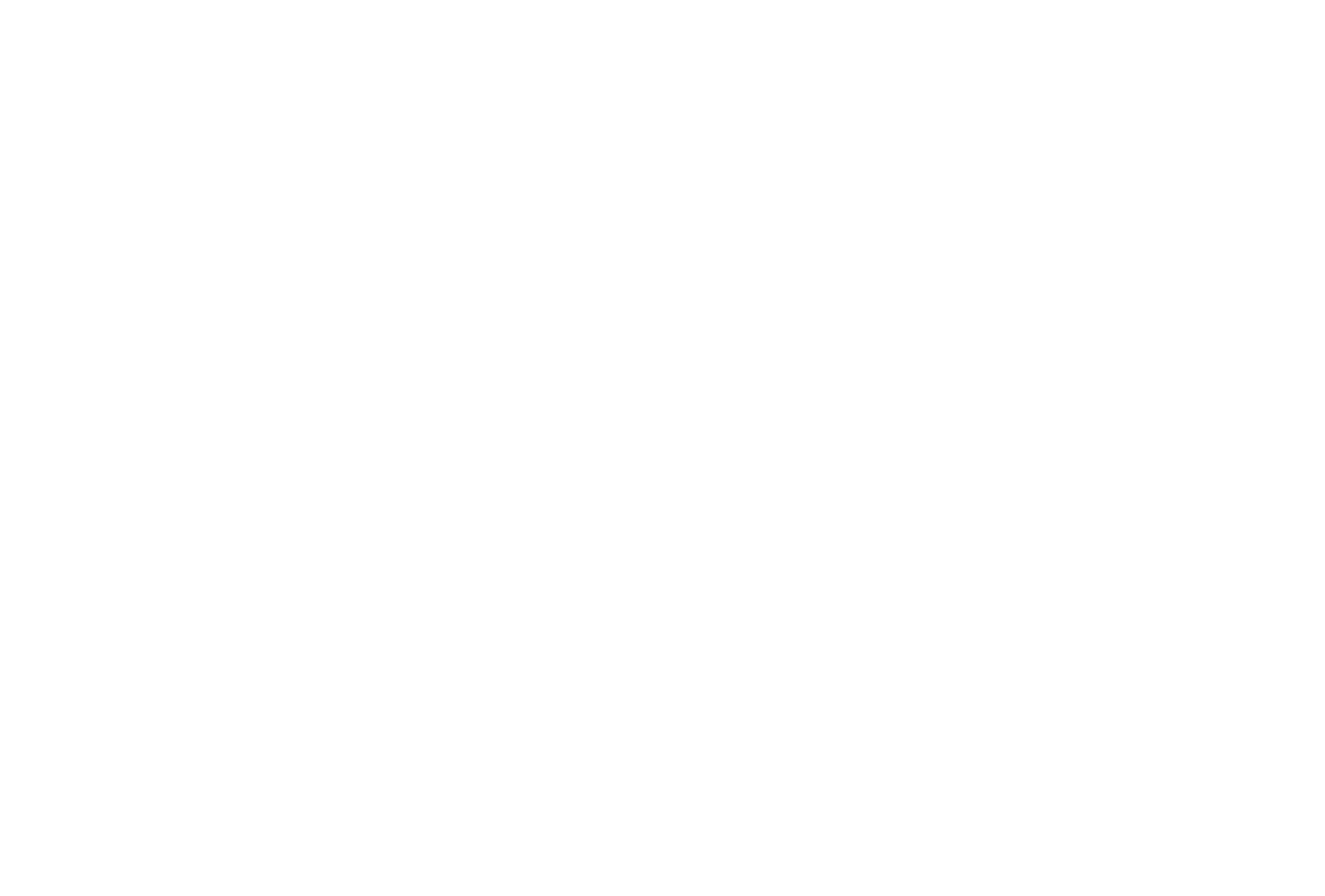 Lev training & coaching 